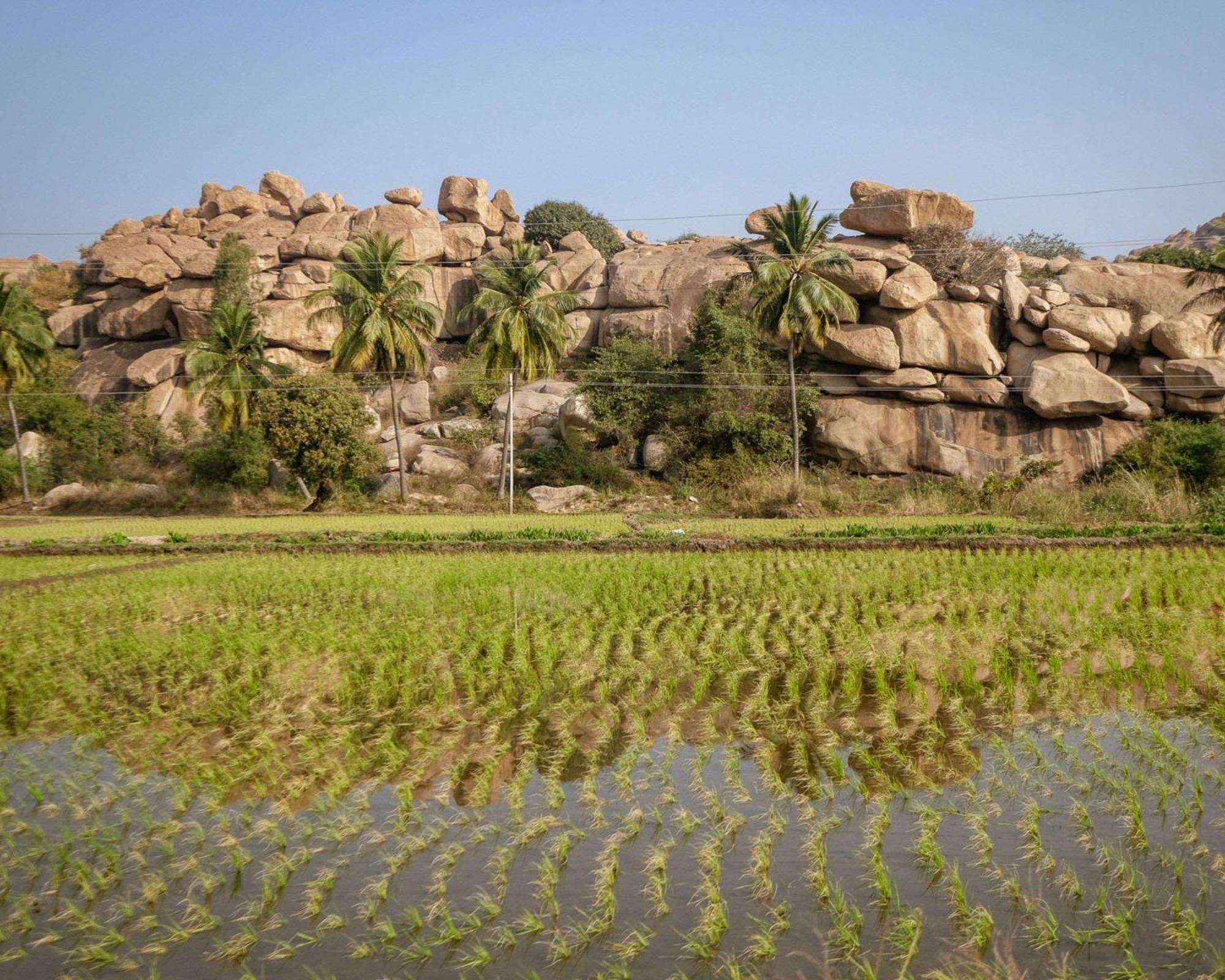 Hyatt Place Hampi Exterior foto